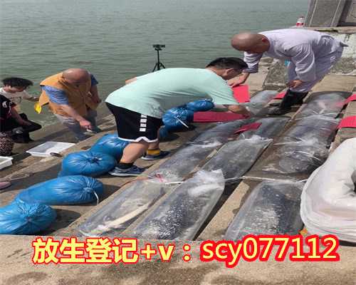 青岛哪里允许放生鱼，青岛胶州慈云讲寺举行开光五周年暨第五届水陆法会第六