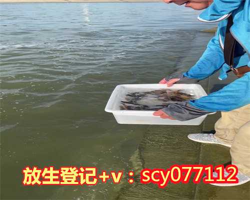 阳江为逝者放生，阳江放生红鲤鱼在哪里，阳江女性生理期可以去放生吗