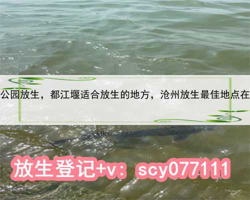 沧州公园放生，都江堰适合放生的地方，沧州放生最佳地点在哪里