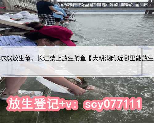 哈尔滨放生龟，长江禁止放生的鱼【大明湖附近哪里能放生】